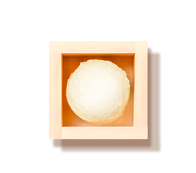 SAKURASAKE!