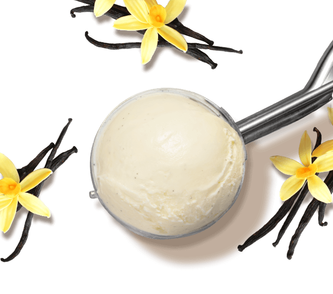 VANILLA
