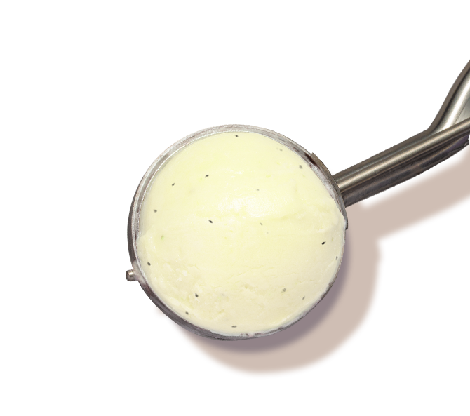 Kiwi sorbet