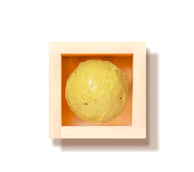 OTOKOYAMA x Pumpkin